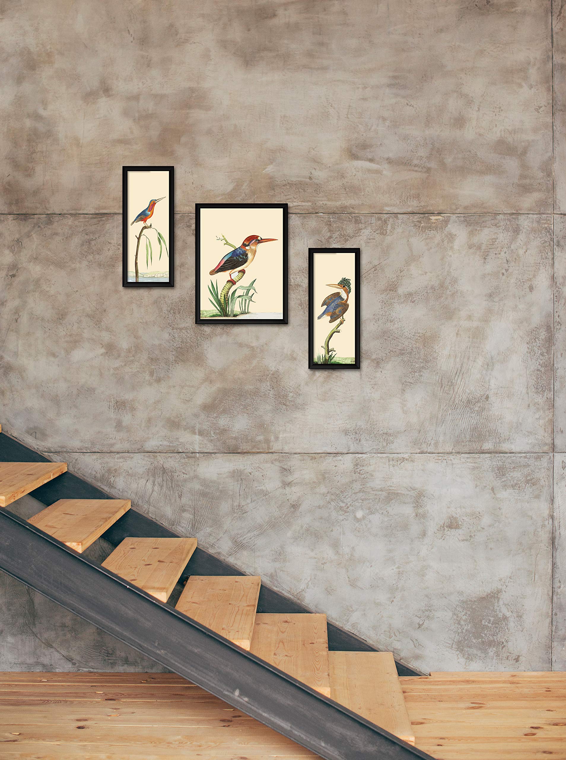 Artx Paper Sea Birds Wall Art Painting, Multicolor, Bird, 13.0 X 22.0 Inches, Set Of 3